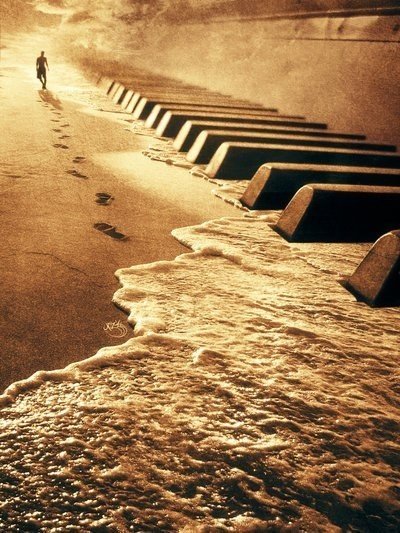 Жизнь как фортепиано... Белые клавиши это любовь и счастье, черные-горе и печаль. Чтобы услышать музыку жизни, мы должны коснуться и тех, и тех...