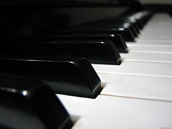 Жизнь - как фортепиано. Белые клавиши - это любовь и счастье. Черные - горе и печаль. Что бы услышать настоящую музыку жизни, Мы должны коснуться и тех, и тех.