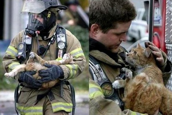 Кот, спасенный из пожара... Такой искренний взгляд