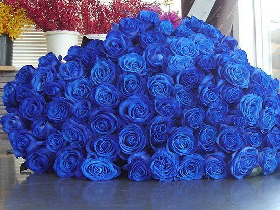Самый замечательный момент в жизни-это когда человек которого ты любишь,приезжает не сообщая с большим букетом роз!