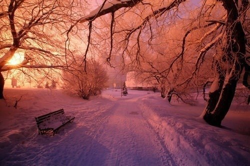 Обожаю выйти на улицу зимой, а там сугробы чистого, скрипящего, свежего снега.