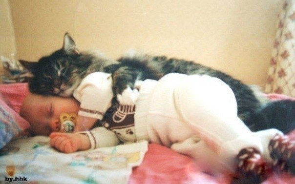 Просыпаешься утром, а тебя котик обнимает.:)