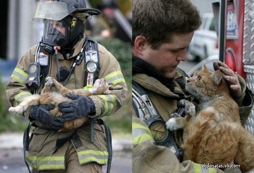 Кот, спасенный из пожара... Такой искренний взгляд!