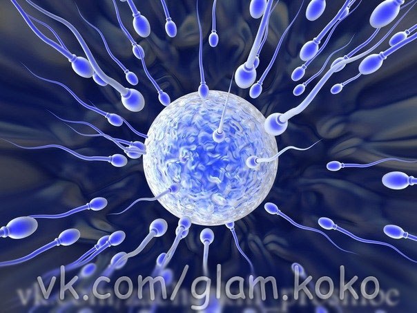Не родилась еще та яйцеклетка, которая бегала бы за сперматозоидом. Не будем спорить с природой! …))