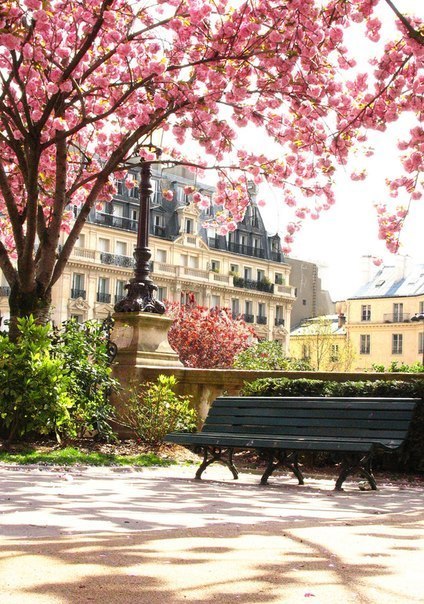 я хочу в Париж..♥
