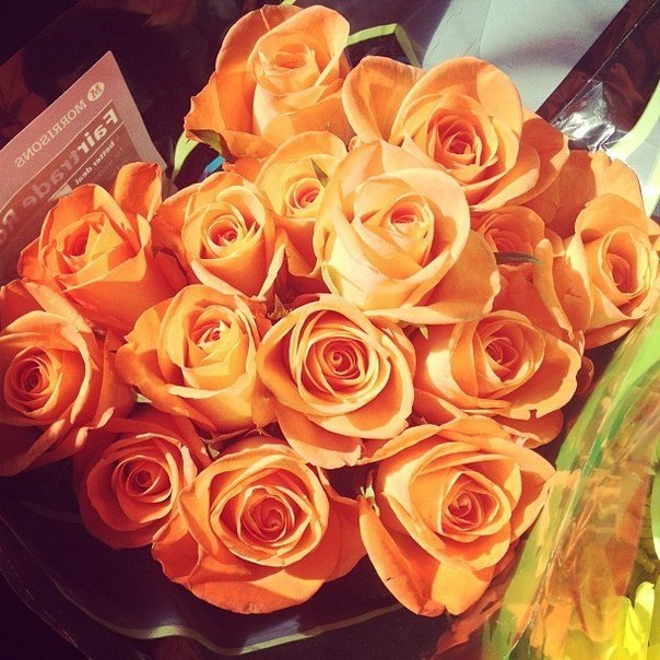 Любимым девушкам дарят цветы, а не слёзы.♥