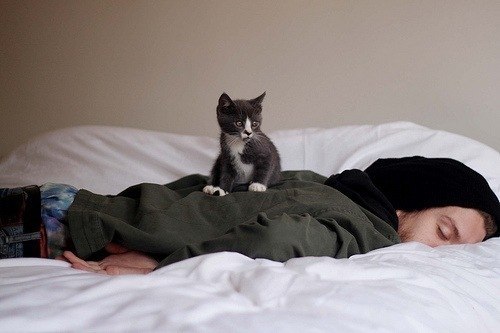 Почему, человек глядя на спящую кошку умиляется, а кошка глядя на спящего человека думает: "О! Батут!"