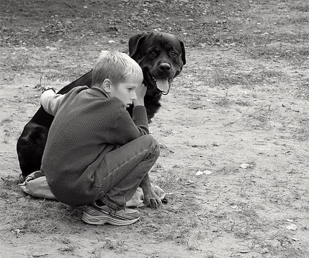 Собака - такое преданное животное. что даже не веришь в то, что человек может заслуживать такой любви..