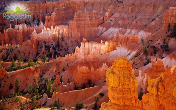 Оранжевые скалы, Брайс-каньон.