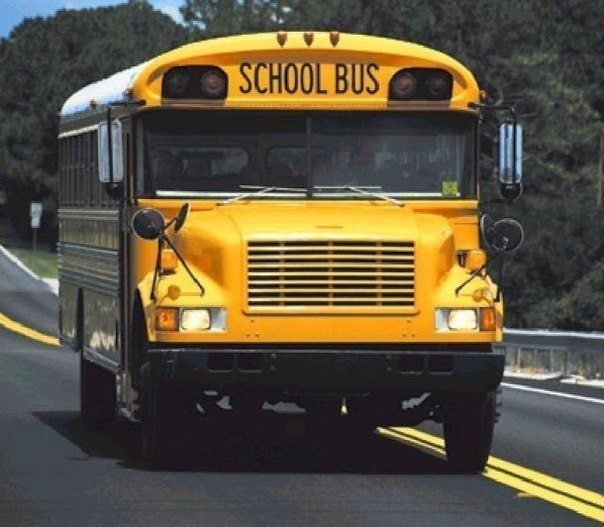 хочу, как в Америке, ездить в школу на таком автобусе.