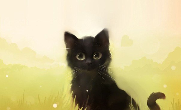 Чёрный кот, перебегающий вам дорогу, означает, что животное куда-то идёт. Не усложняйте Жизнь ни себе, ни ему!
