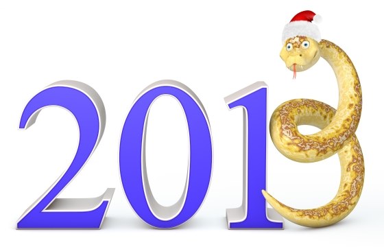 С Наступающим Новым 2013 Годом - Змеи!!! Шипите с любовью! =))