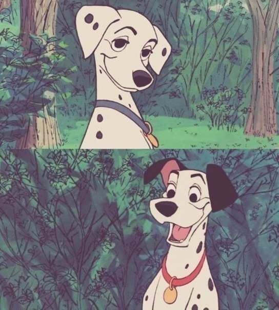 И НЕ ГОВОРИ, ЧТО НЕ ЗНАЕШЬ, ЧТО ЭТО ЗА МУЛЬТ